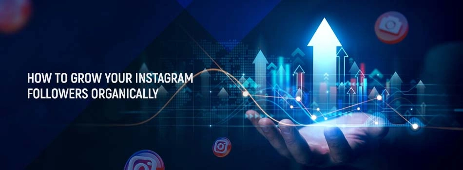 How to Grow Your Instagram Followers Organically
